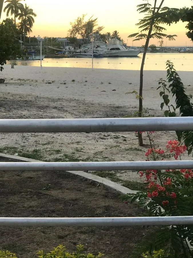 アパート Ocho Rios Beach Apt At Sandcastles