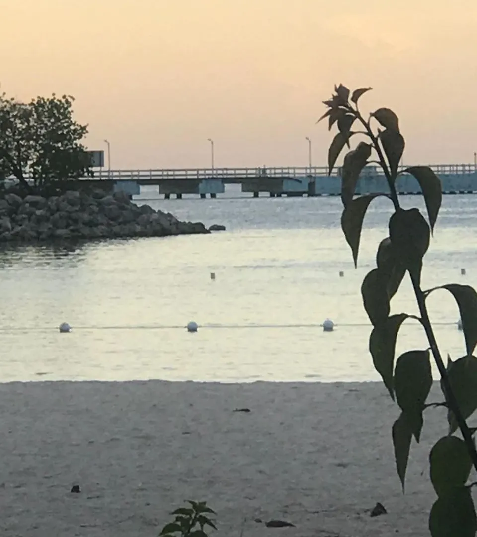 Ocho Rios Beach Apt At Sandcastles 0*, オーチョ・リオス ジャマイカ